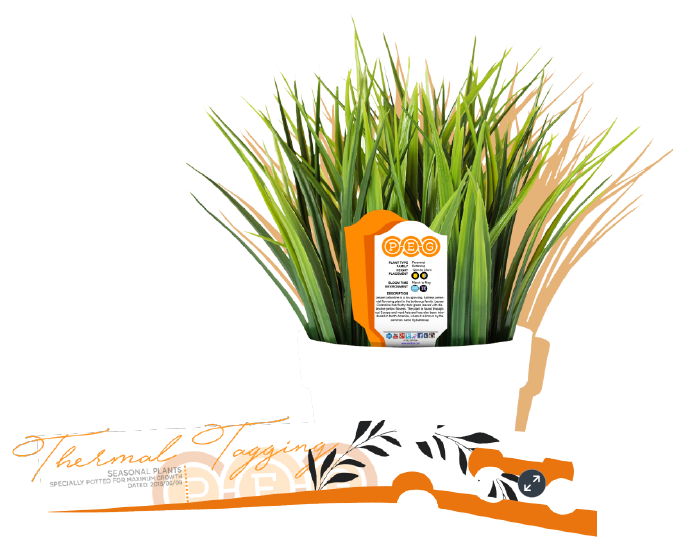 Picture of label on beer glass